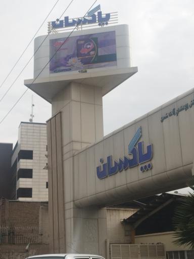 شرکت پاکسان