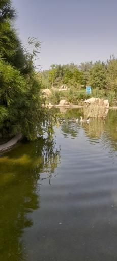 عکس پارک کوهستانی تفریحی آبشار