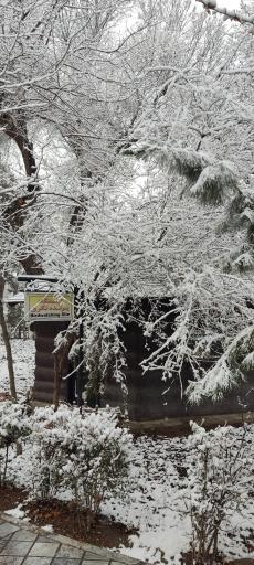 عکس سایت پرنده نگری بوستان شهر