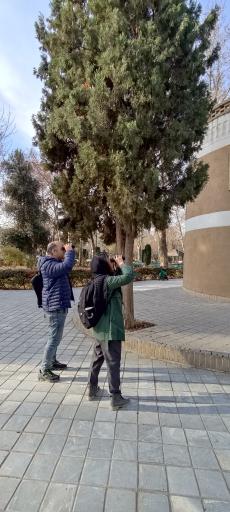 عکس سایت پرنده نگری بوستان شهر