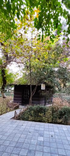 عکس سایت پرنده نگری بوستان شهر