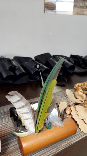 سایت پرنده نگری بوستان شهر