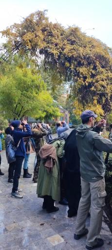 عکس سایت پرنده نگری بوستان شهر