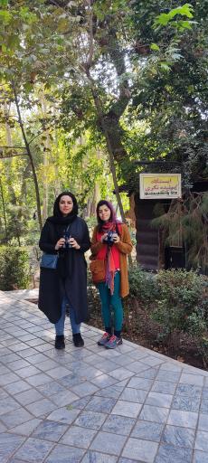 عکس سایت پرنده نگری بوستان شهر