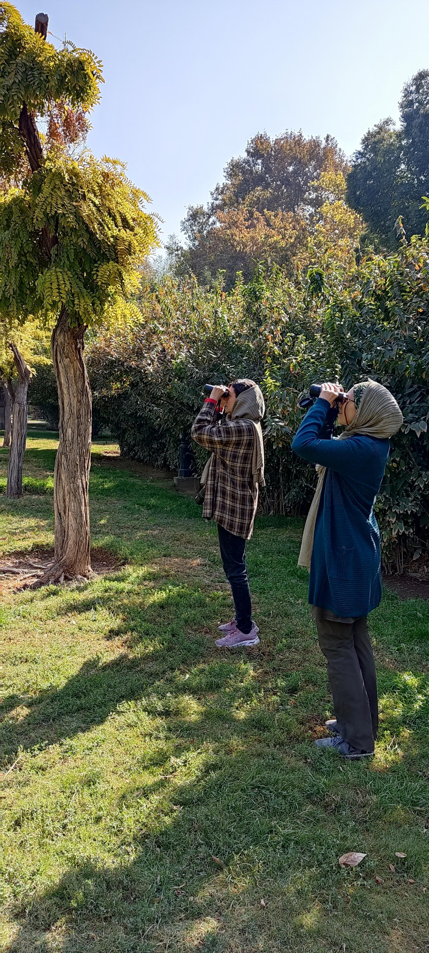 عکس سایت پرنده نگری بوستان شهر