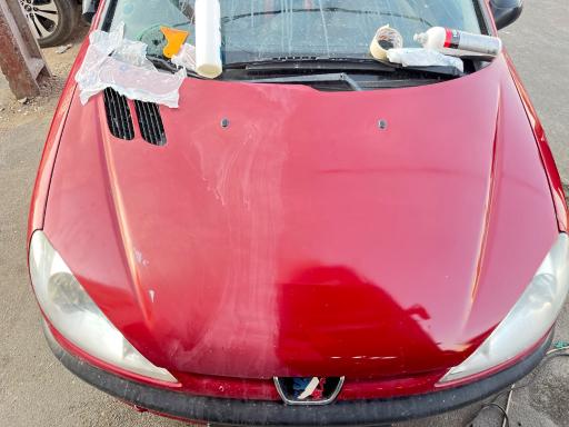 عکس دیتیلینگ آفتاب سوخته