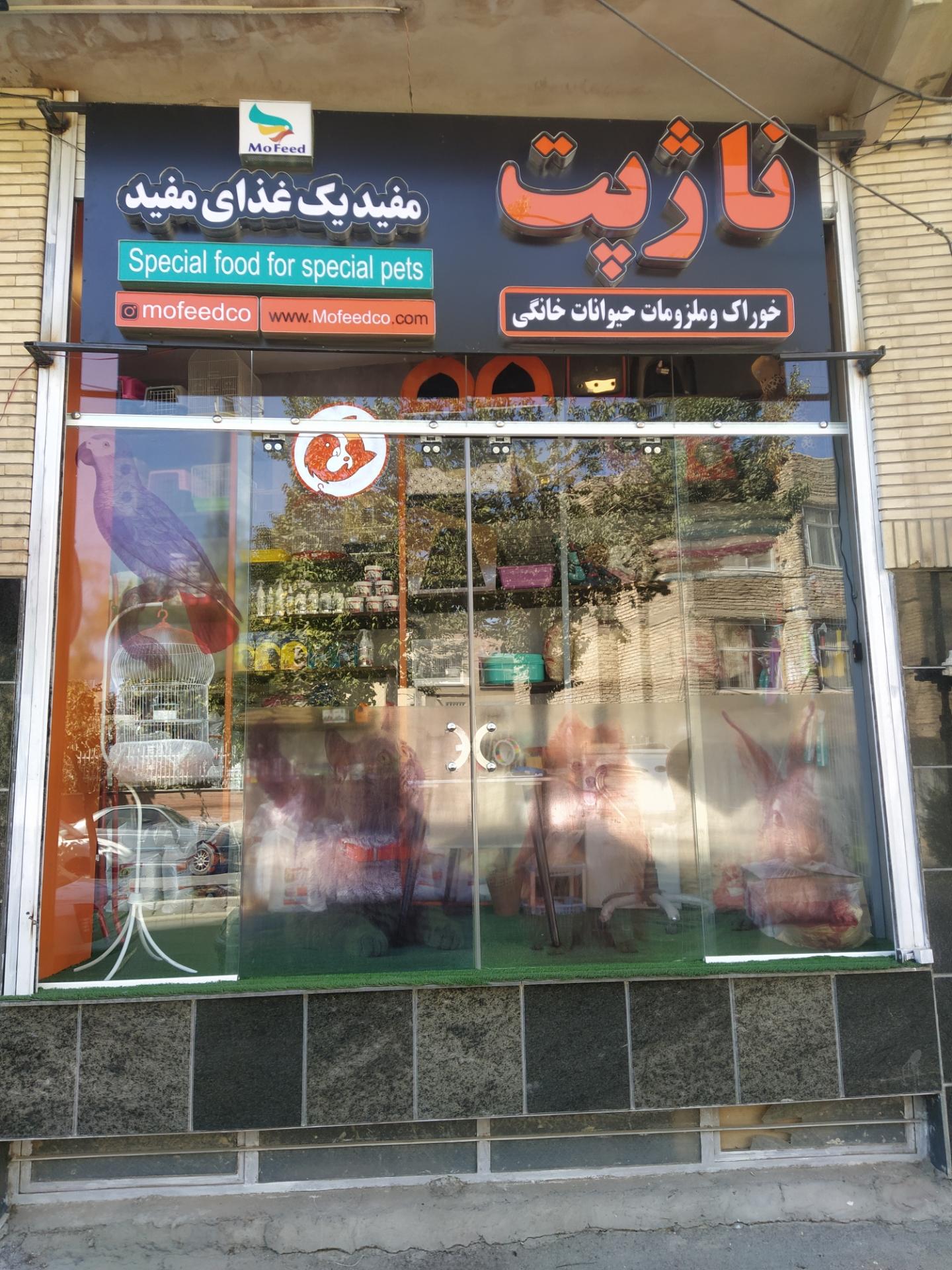 عکس ناژ پت