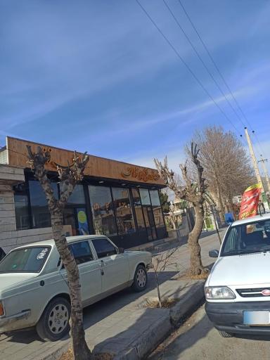 پیتزا فست فود و کباب ماهی شاهان