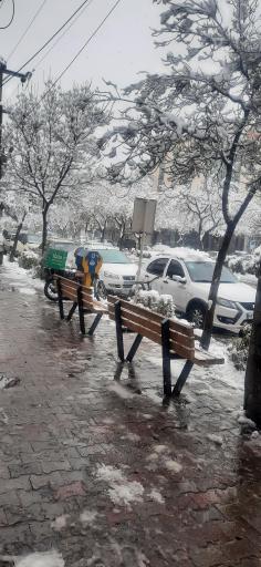 عکس  مطهری شمالی 11