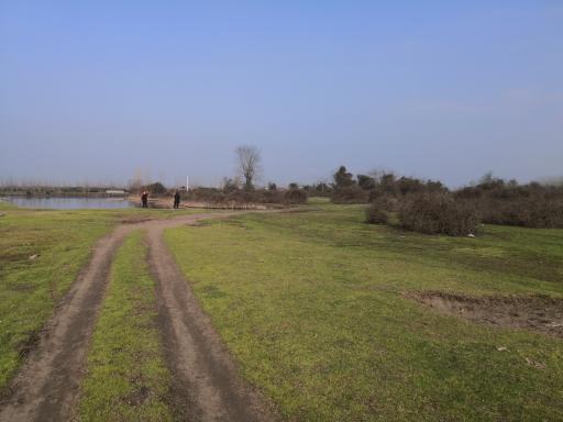 عکس چراغ پشتان