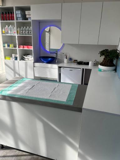 عکس دامپزشکی آرنیک