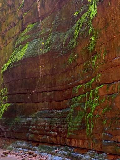 عکس تنگه نارنج بن