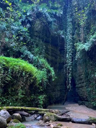 عکس تنگه نارنج بن