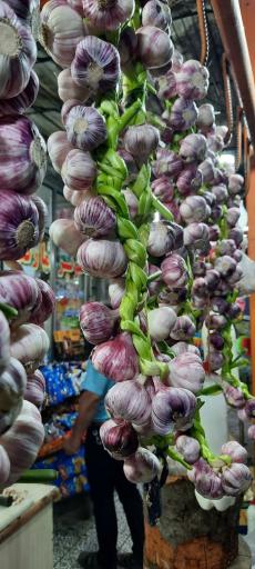 عکس کته کبابی البرز