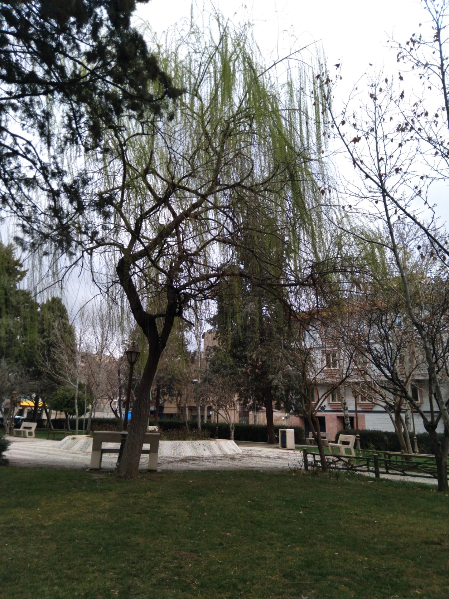 عکس پارک توحید