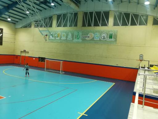 عکس مجموعه ورزشی نیشکر