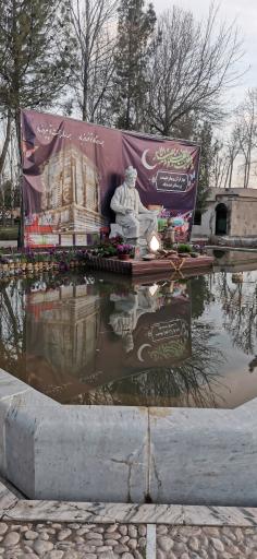 عکس حوض نیلوفر 