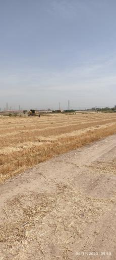 عکس مزرعه امیری