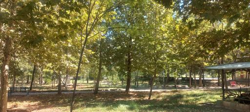 عکس پارک ملت