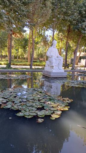 عکس حوض نیلوفر 