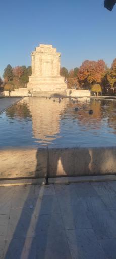 عکس حوض نیلوفر 