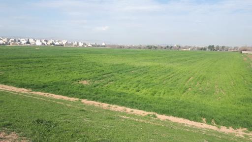 عکس شکارگاه خسرو پرویز