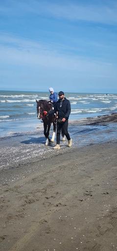 عکس ساحل انارور