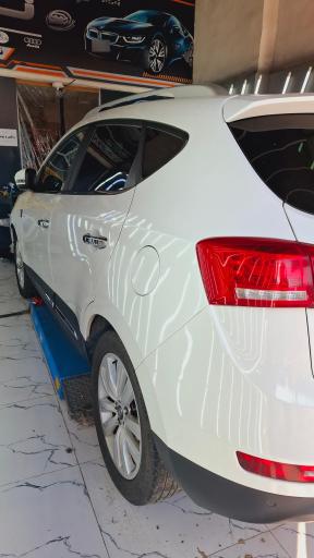 عکس تشخیص رنگ و دیتیلینگ مهدی شاین