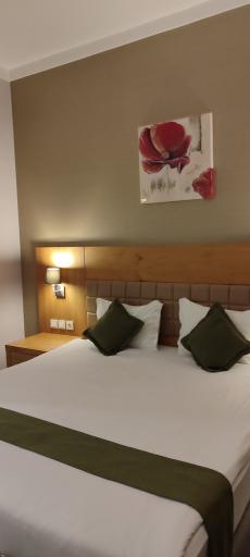 عکس هتل پنج ستاره میزبان