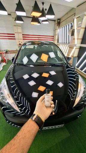 عکس تشخیص رنگ و دیتیلینگ مهدی شاین