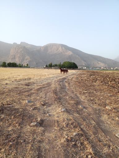 عکس شکارگاه خسرو پرویز