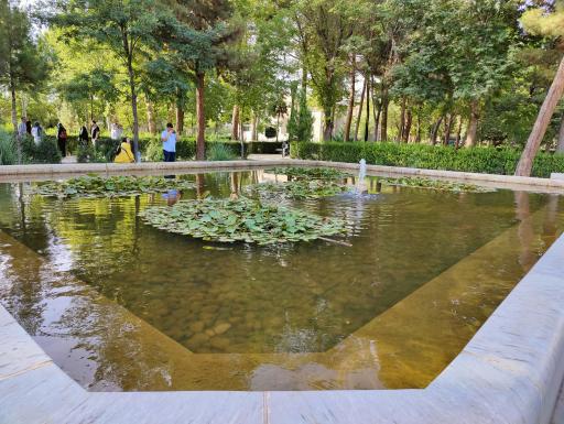عکس حوض نیلوفر 