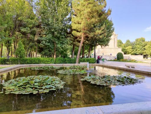 عکس حوض نیلوفر 