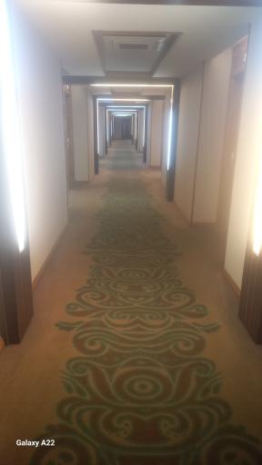 عکس هتل پنج ستاره میزبان