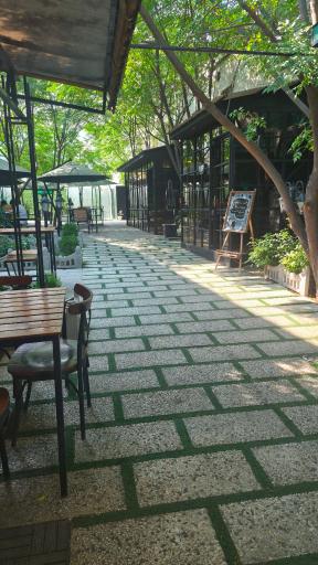 عکس کافه رستری سینرژی