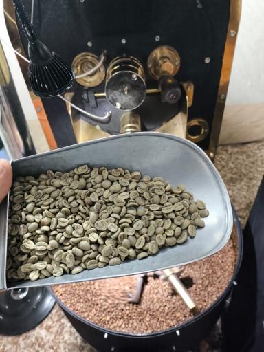 عکس پخش قهوه سیلور