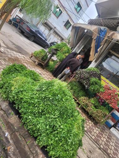 سبزی فروشی آرین