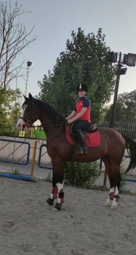 عکس مجموعه سوارکاری و تیراندازی با کمان سمند