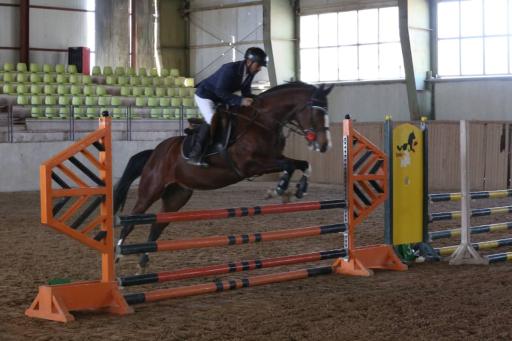 عکس مجموعه سوارکاری و تیراندازی با کمان سمند