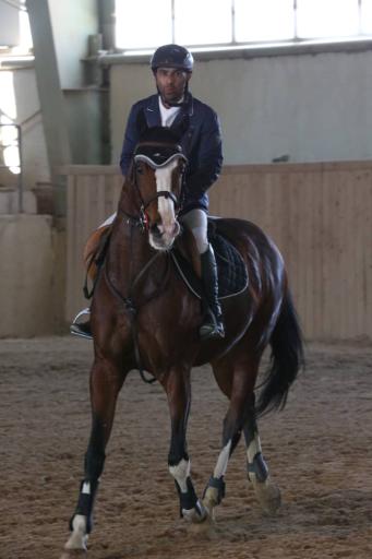 عکس مجموعه سوارکاری و تیراندازی با کمان سمند