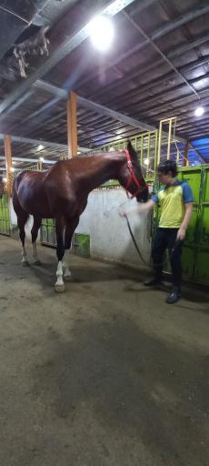 عکس مجموعه سوارکاری و تیراندازی با کمان سمند