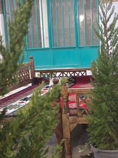 عکس دیزی هیزم