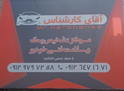 عکس کارشناسی و تشخیص رنگ و فنی آقای کارشناس