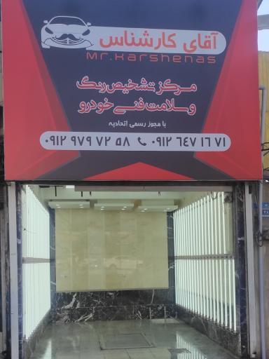 کارشناسی و تشخیص رنگ و فنی آقای کارشناس