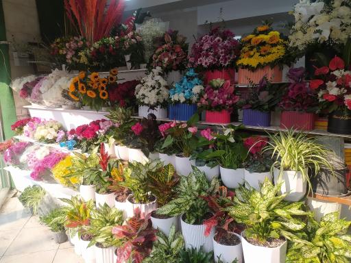 عکس گل فروشی احمدی 