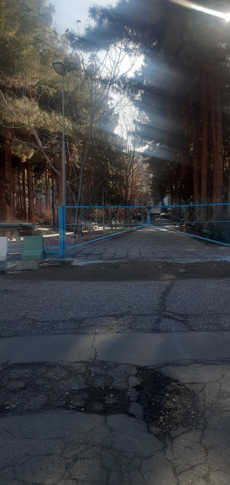 عکس بوستان هنرجو