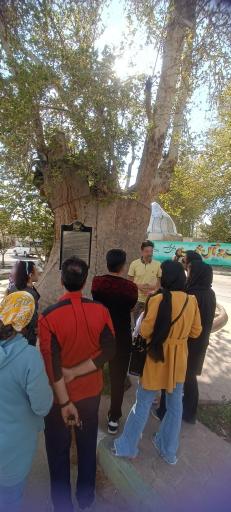 عکس چنار‌ سوخته سعید آباد