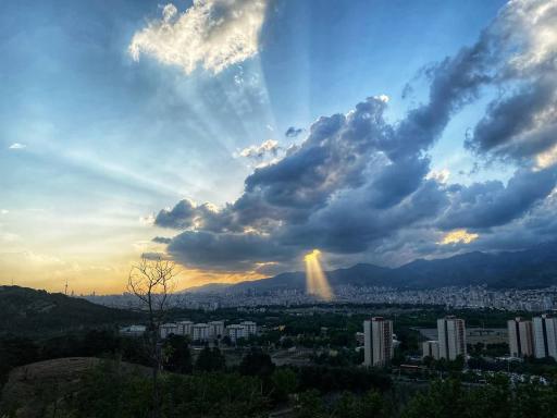 بوستان جنگلی لویزان