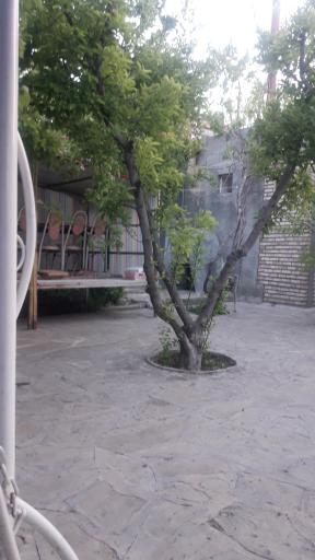 آتا باغی