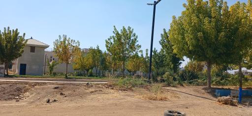 عکس پارک ملت 